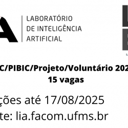 Processo seletivo LIA/LEDES 2025.2